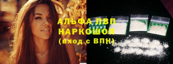 ПСИЛОЦИБИНОВЫЕ ГРИБЫ Бородино