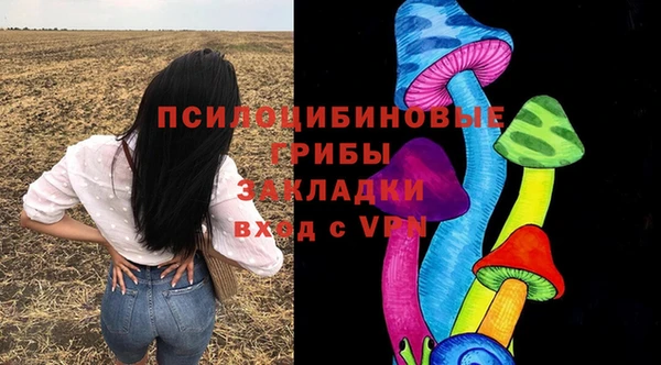 винт Бронницы