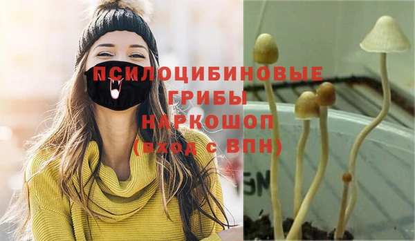 винт Бронницы