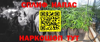 ECSTASY Обь