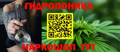 ECSTASY Обь