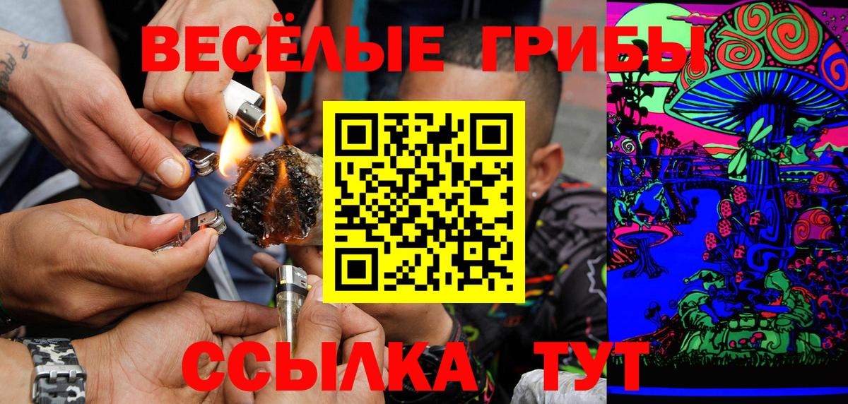 Галлюциногенные грибы прущие грибы Среднеуральск