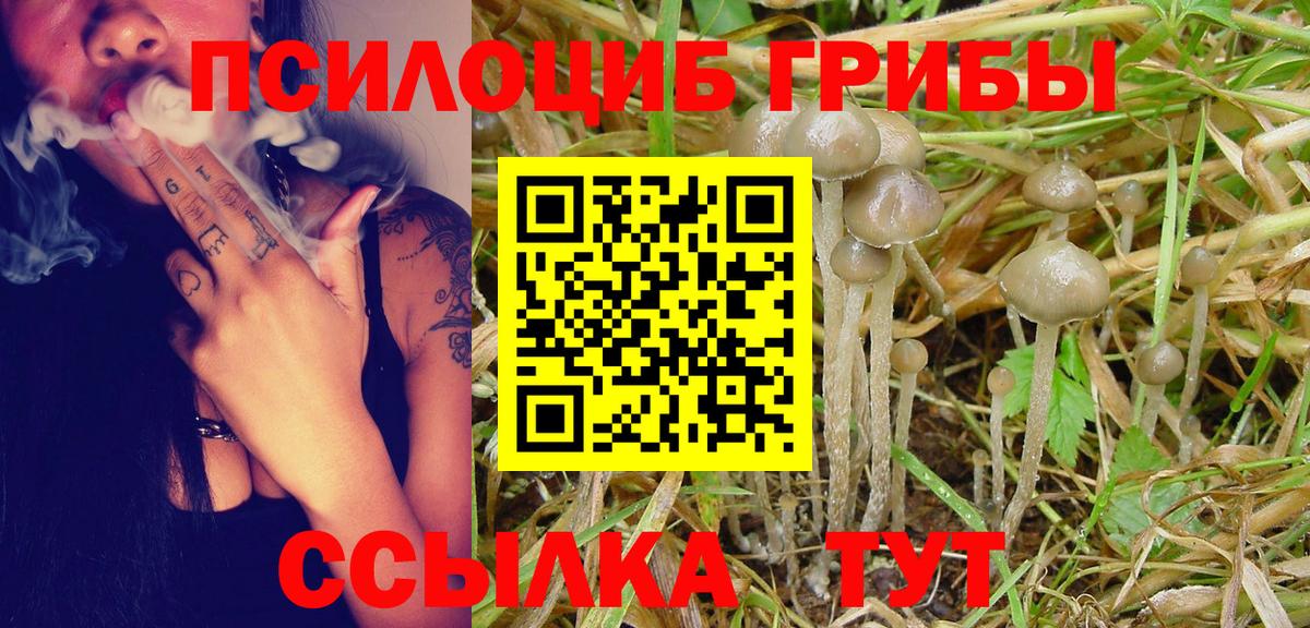 Среднеуральск  Галлюциногенные грибы MAGIC MUSHROOMS  Вход с VPN  Псилоцибиновые грибы прущие грибы 